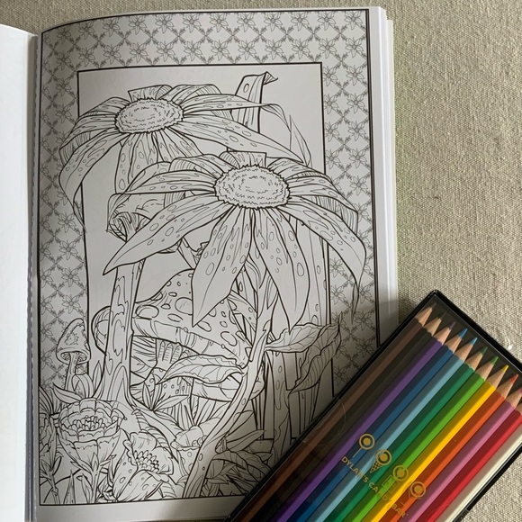 Nature Inspired Coloring Book Bundle - Picture 2 of 15